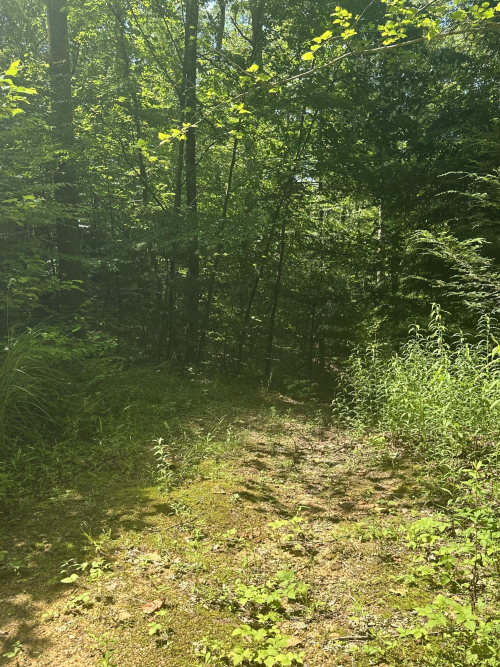 Listing Image 28