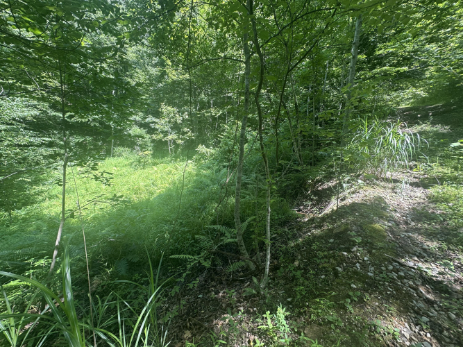 Listing Image 29