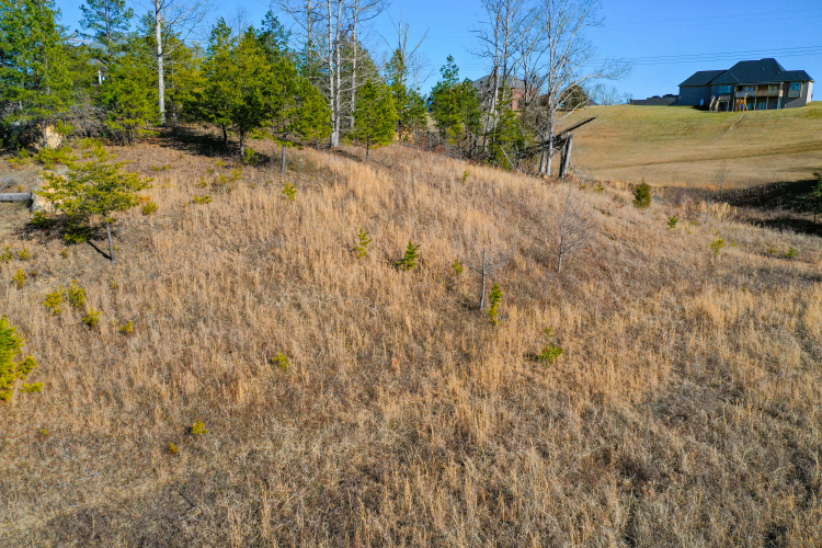 Listing Image 29