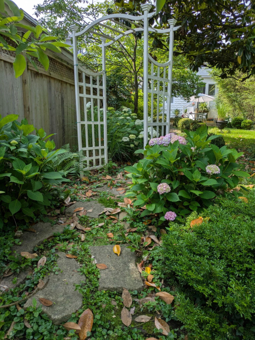 Listing Image 48