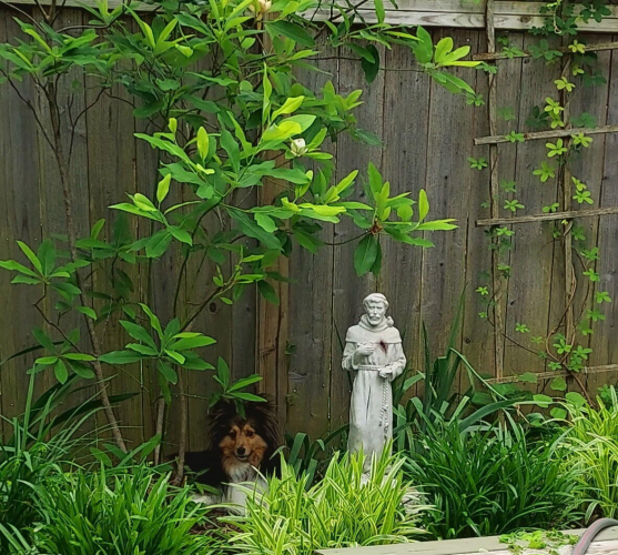 Listing Image 51