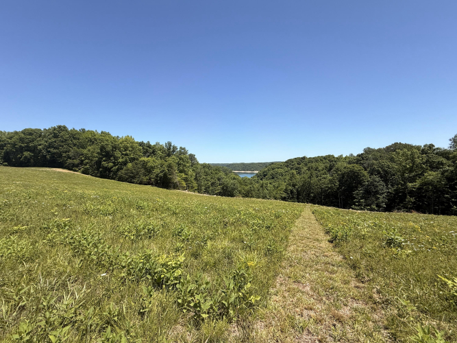 Listing Image 42