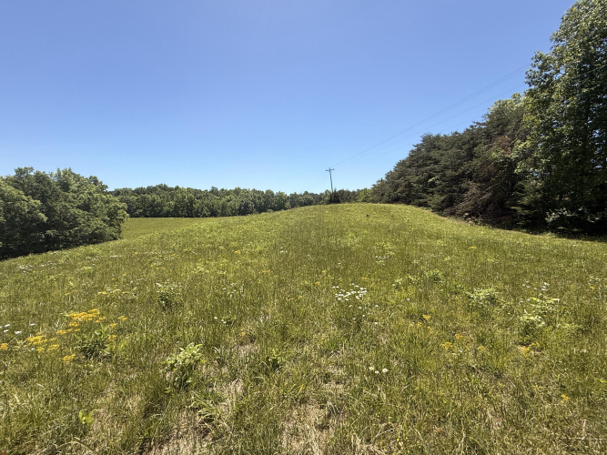 Listing Image 33