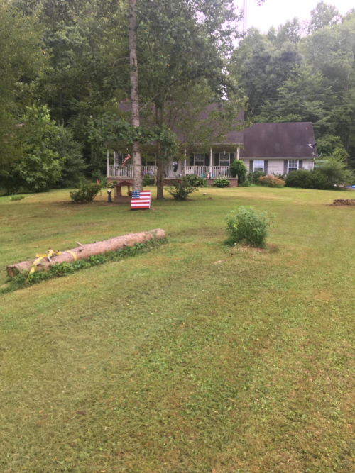 Listing Image 36