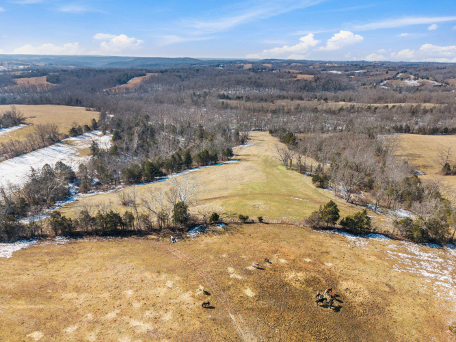 Listing Image 78