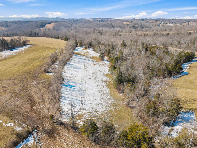 Listing Image 80