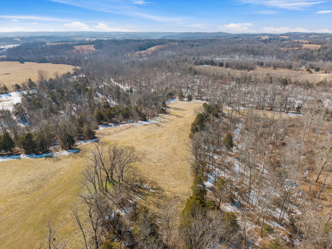 Listing Image 81