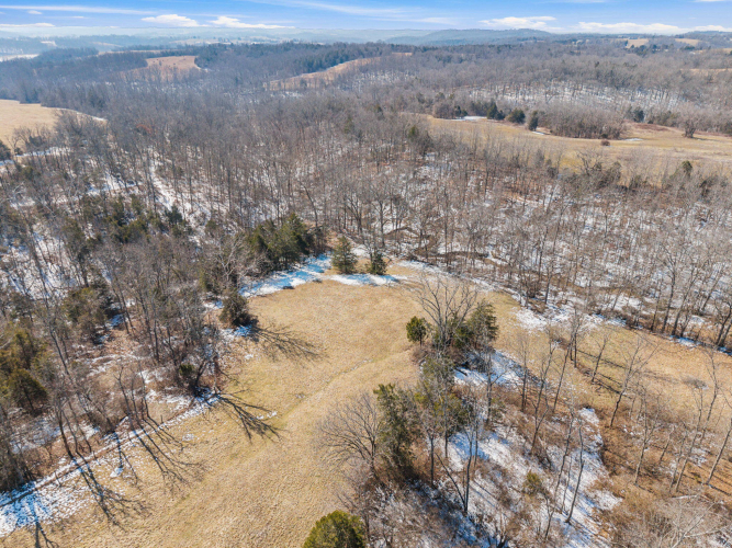Listing Image 82