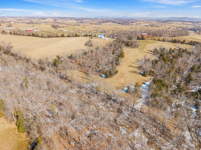 Listing Image 83