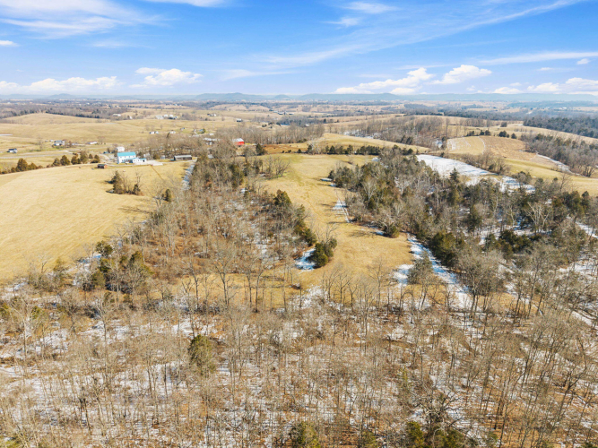 Listing Image 84