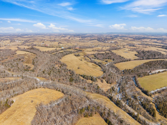 Listing Image 87