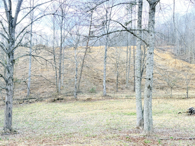 Listing Image 45