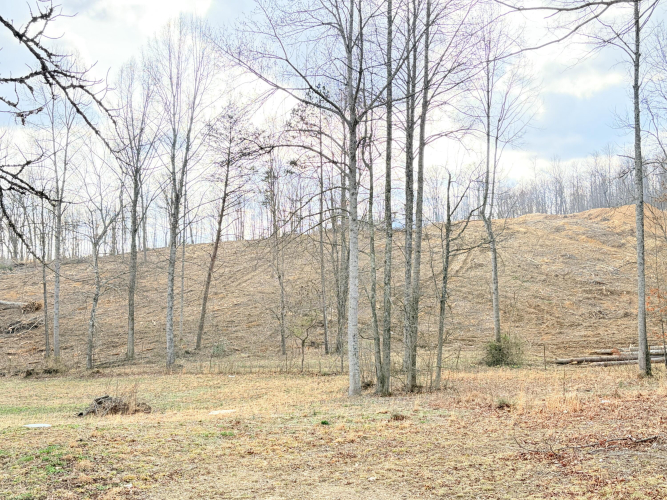 Listing Image 46