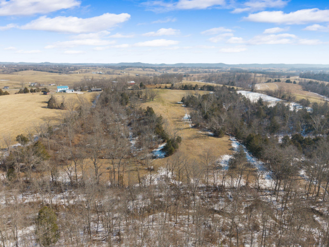 Listing Image 74