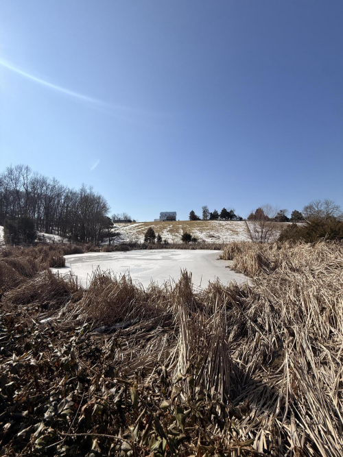 Listing Image 83