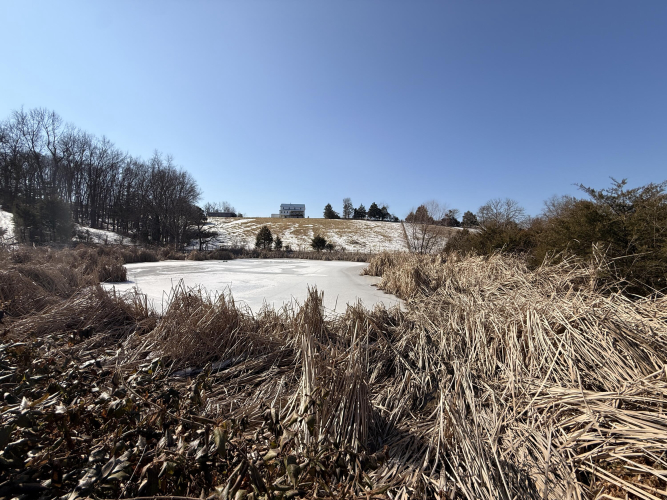 Listing Image 84