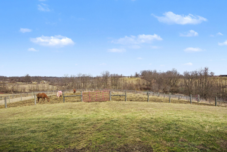 Listing Image 49