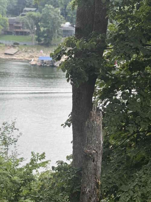 Listing Image 43