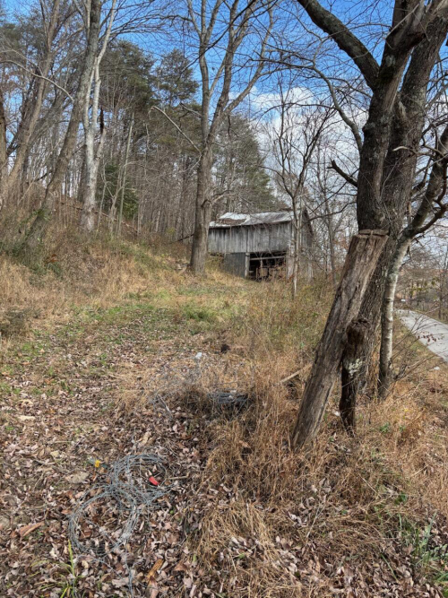 Listing Image 21