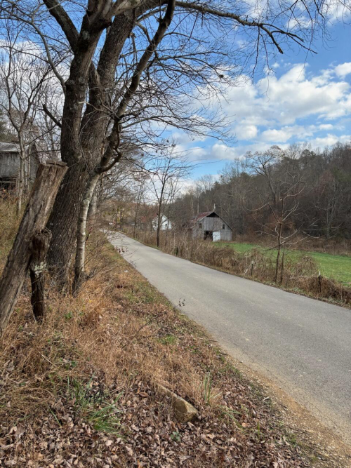 Listing Image 22
