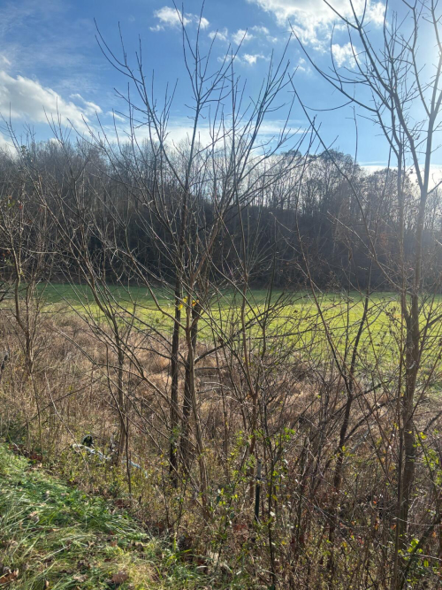 Listing Image 28