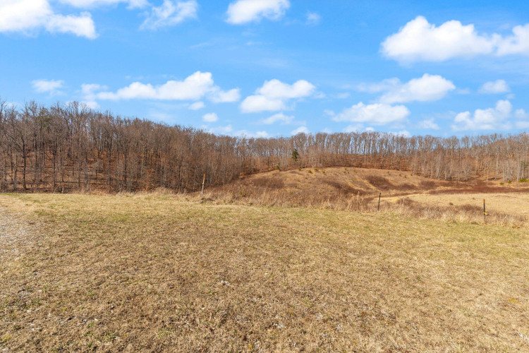 Listing Image 49