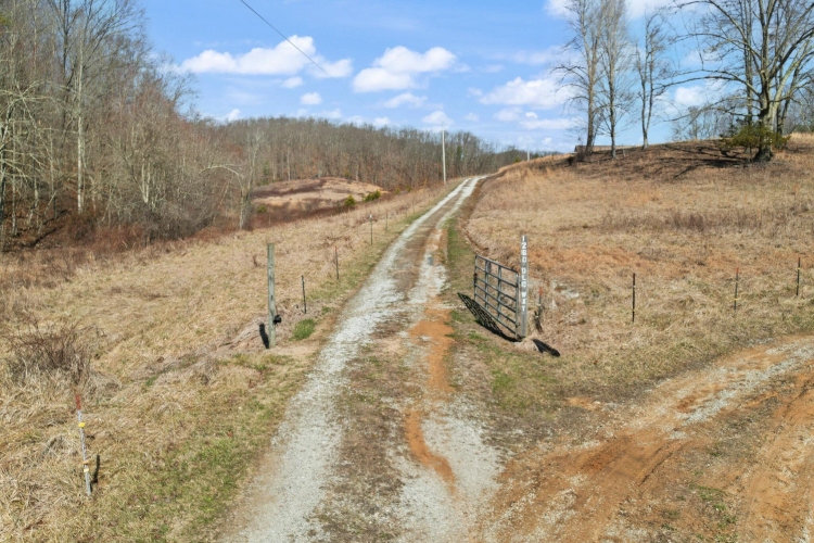 Listing Image 53