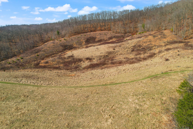 Listing Image 70