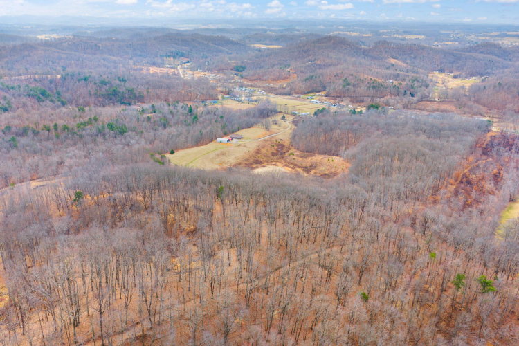 Listing Image 81