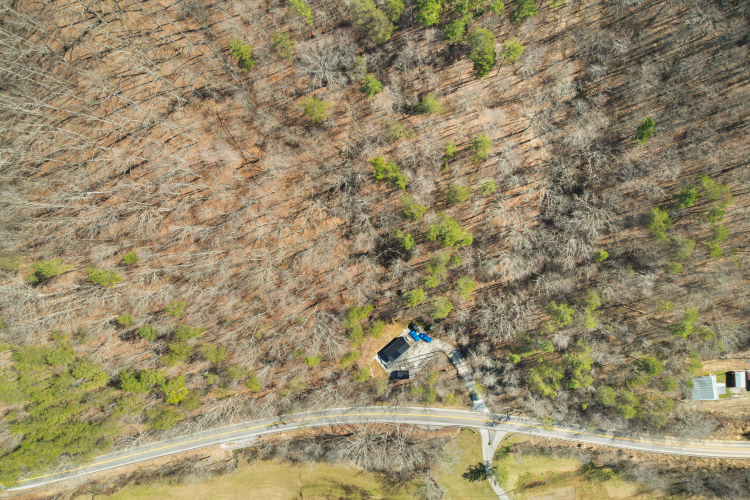 Listing Image 68