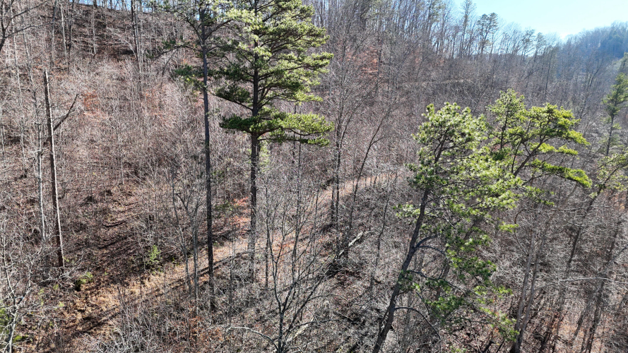 Listing Image 72