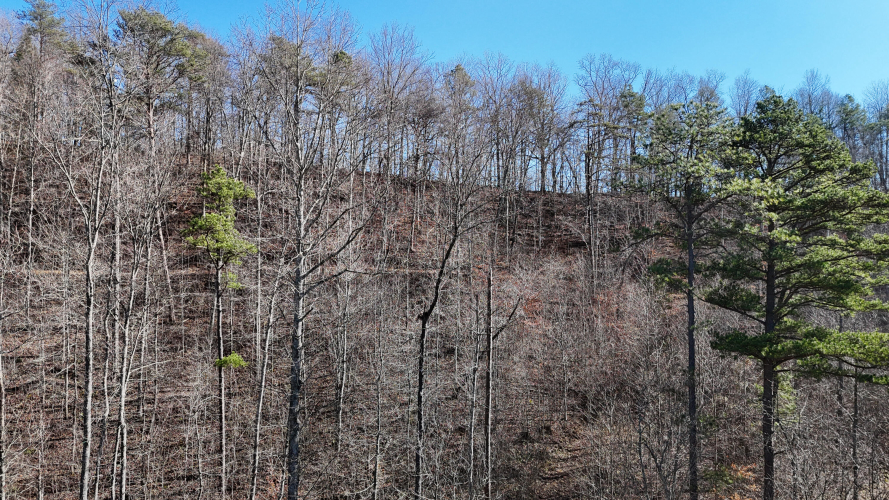 Listing Image 73