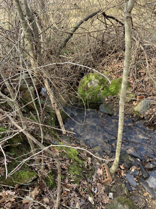 Listing Image 83