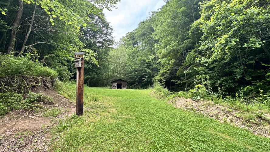 Listing Image 21
