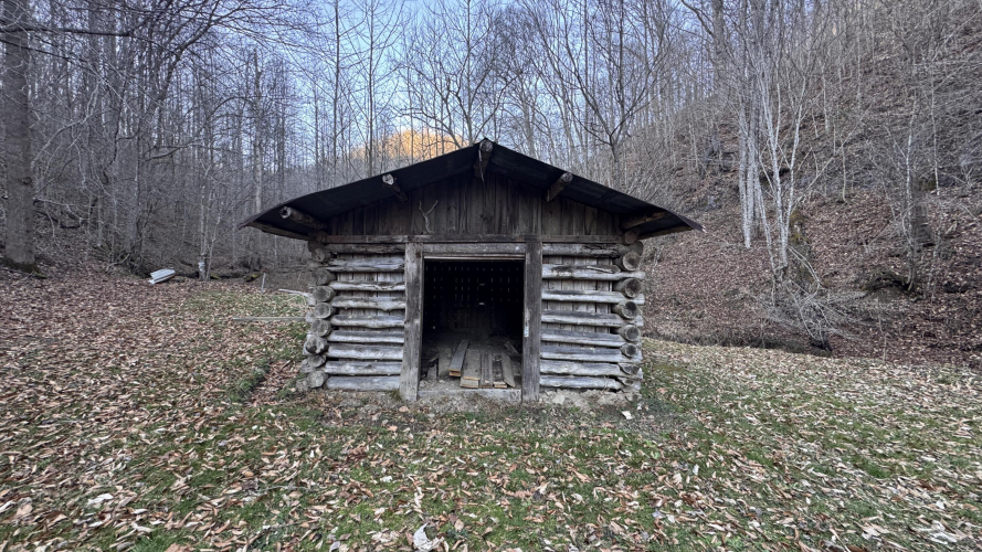 Listing Image 29