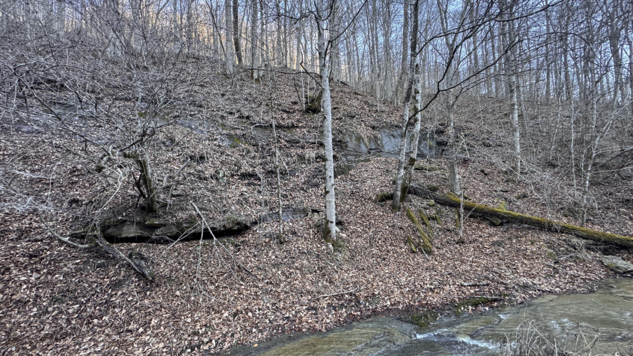 Listing Image 31