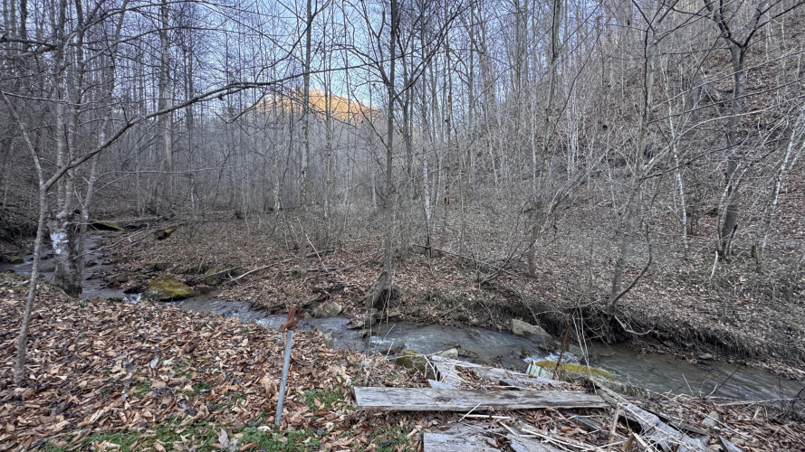 Listing Image 33