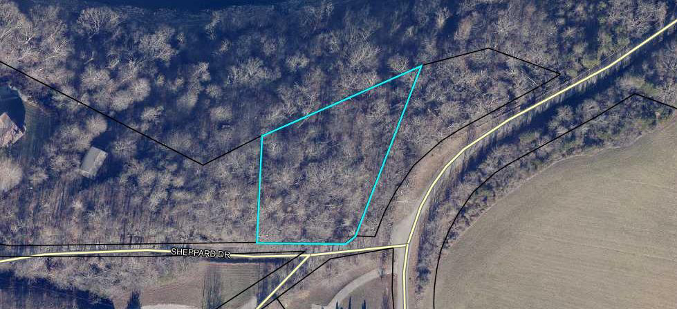 Listing Image 11