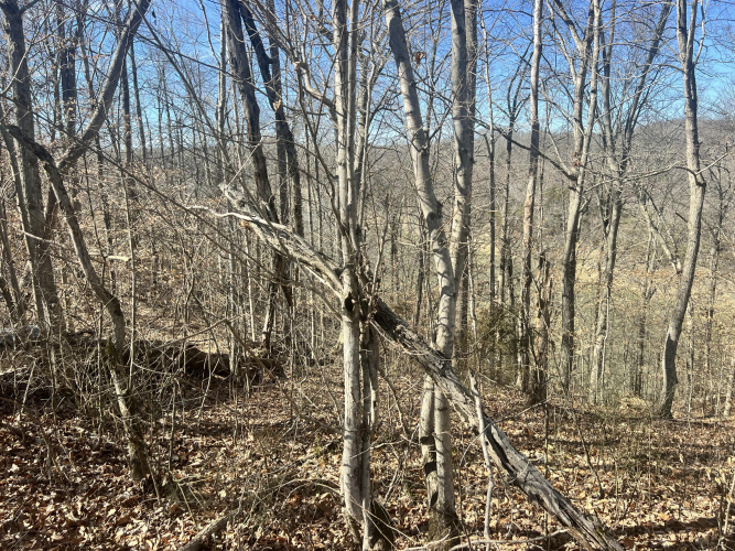 Listing Image 10