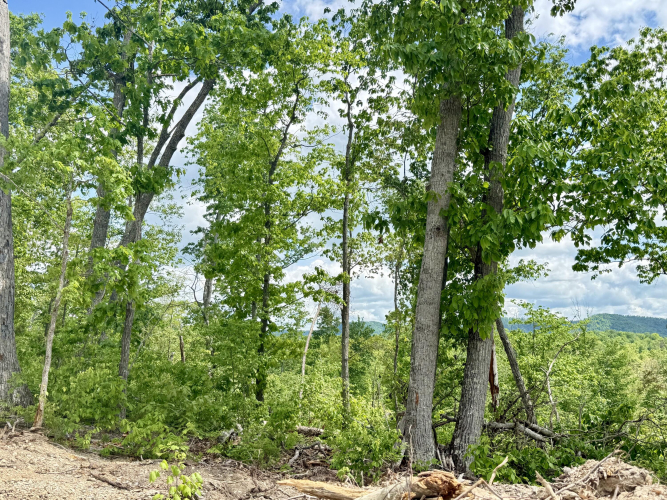 Listing Image 26