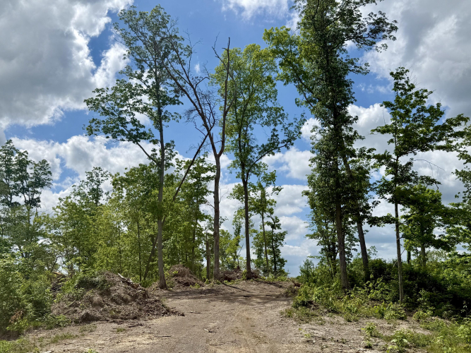 Listing Image 30