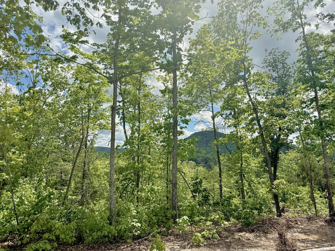 Listing Image 27