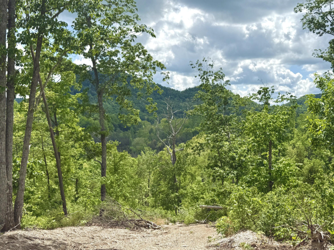 Listing Image 31