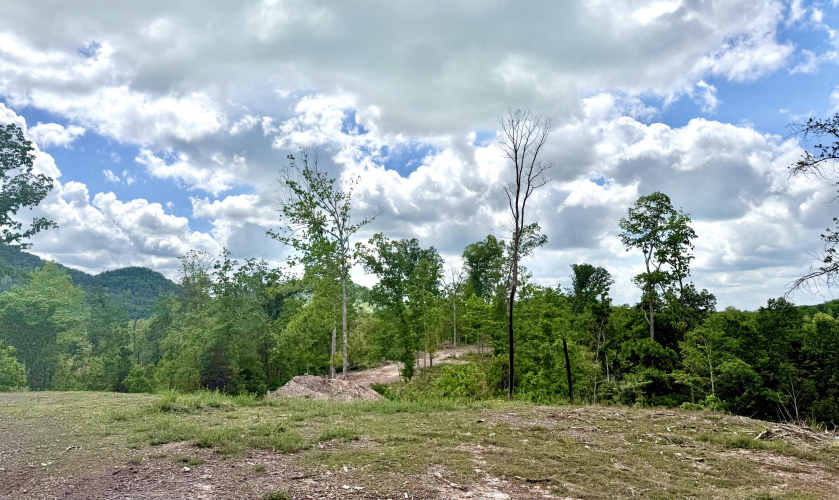 Listing Image 13