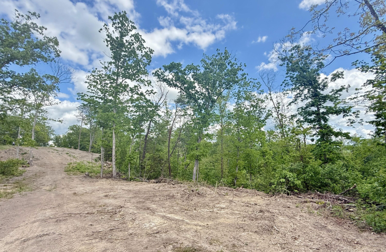 Listing Image 17