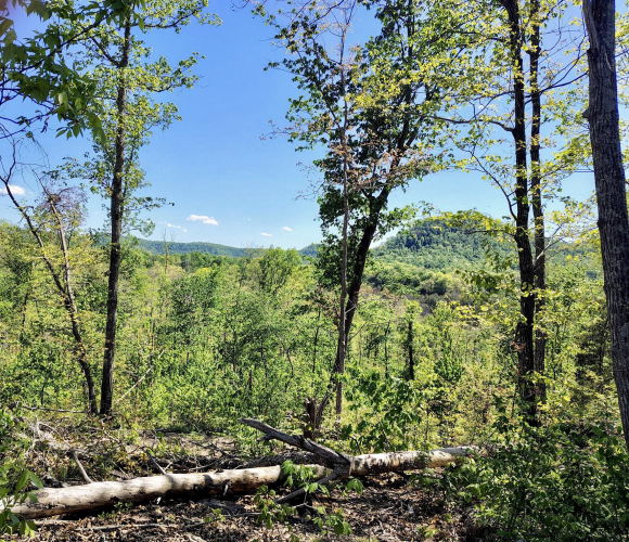 Listing Image 6