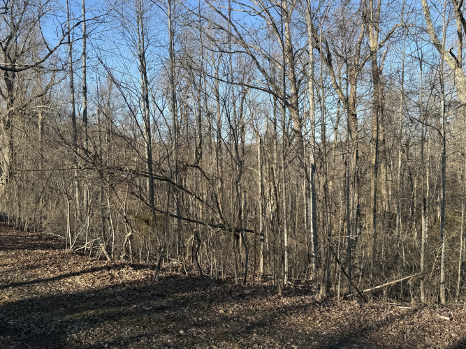 Listing Image 13