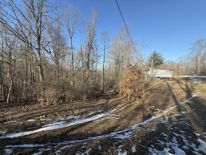 Listing Image 14