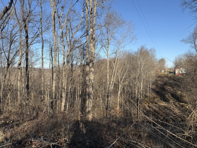 Listing Image 17