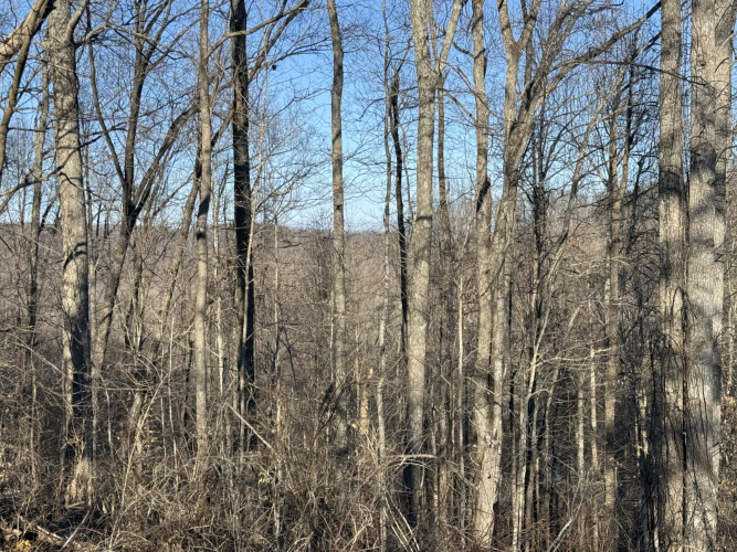 Listing Image 18
